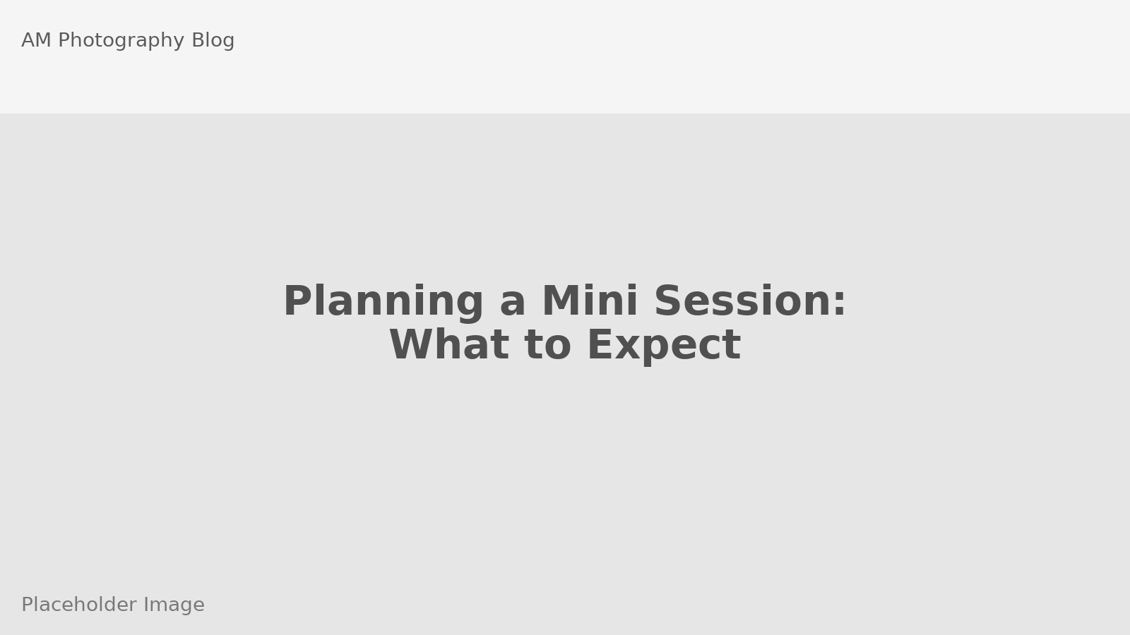 Planning a Mini Session: What to Expect