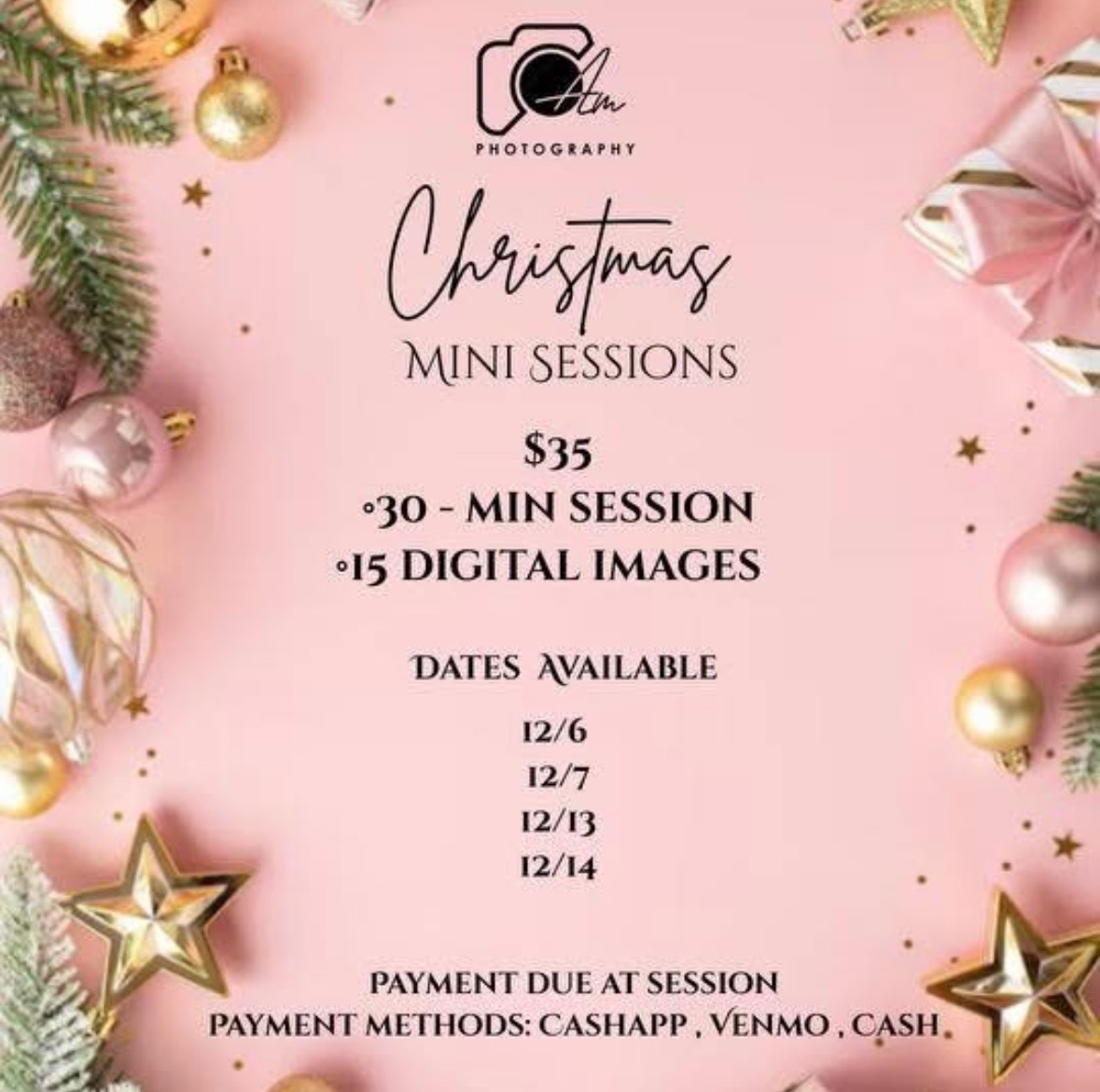 Christmas Mini Sessions Flyer